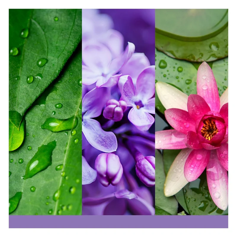 Tart Profumata Yankee Candle Lilac Blossoms