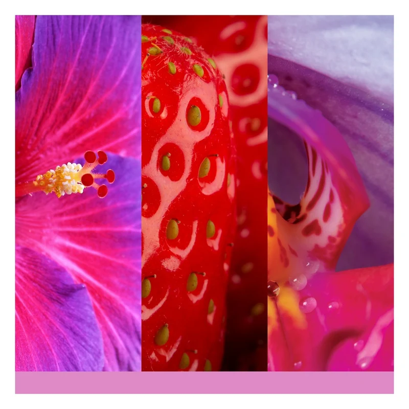 Tart Profumata Yankee Candle Wild Orchid