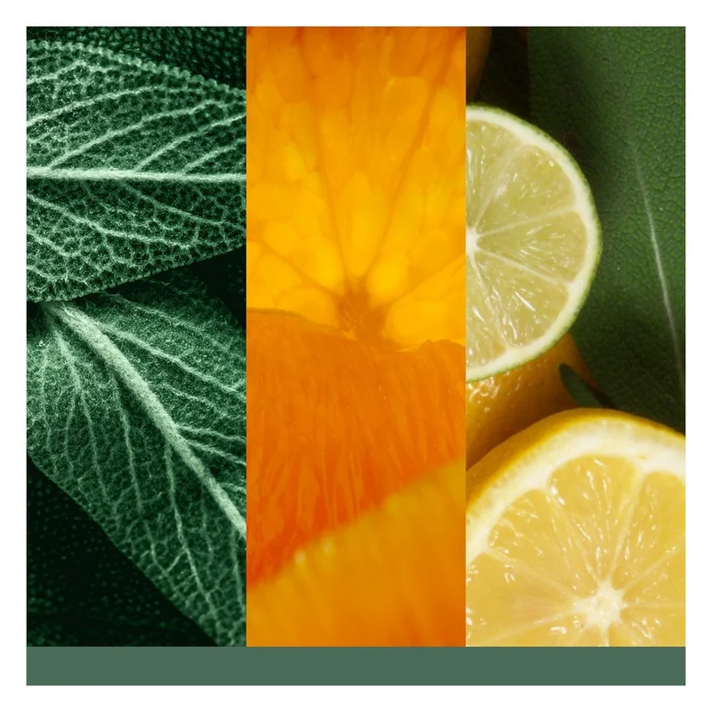 Tart Profumata Yankee Candle Sage & Citrus