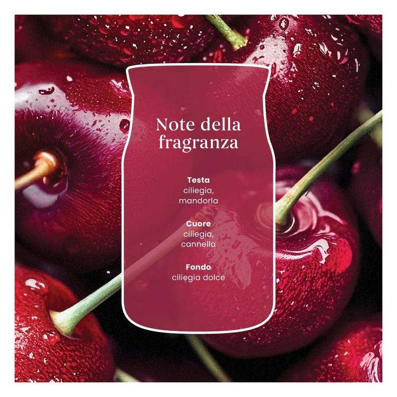 Candela Giara Media Yankee Candle Signature Black Cherry