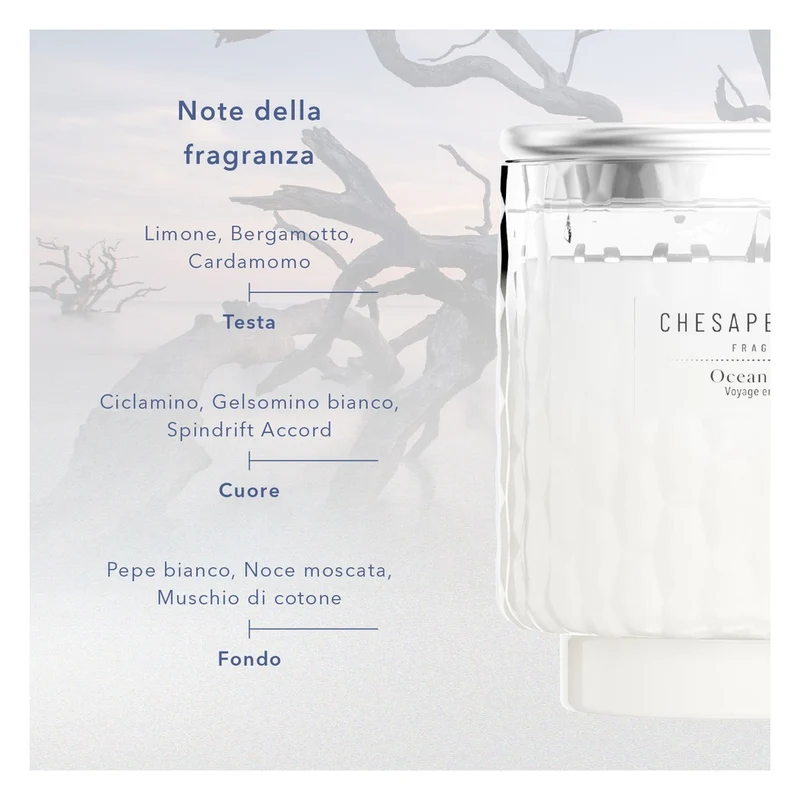 Candela Piccola Chesapeake Bay Candle Ocean Retreat