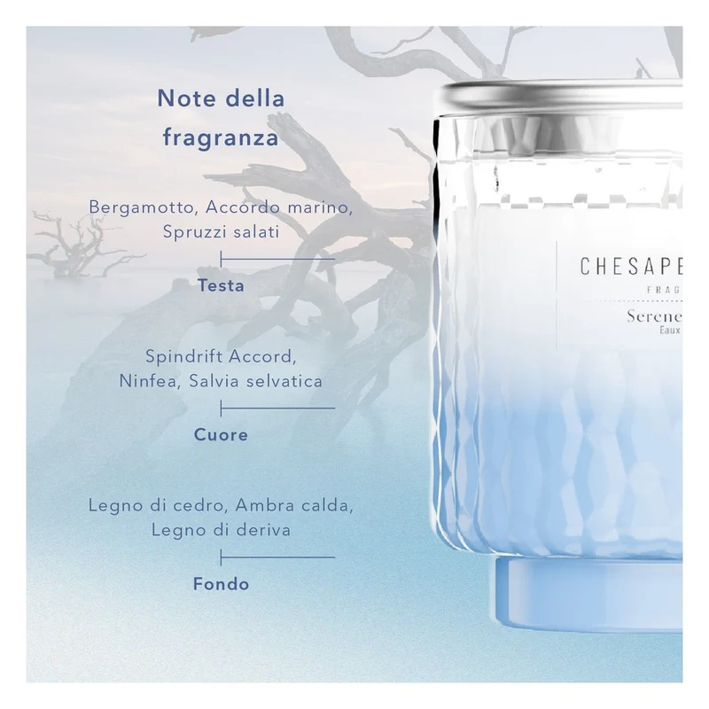 Candela Piccola Chesapeake Bay Candle Serene Waters