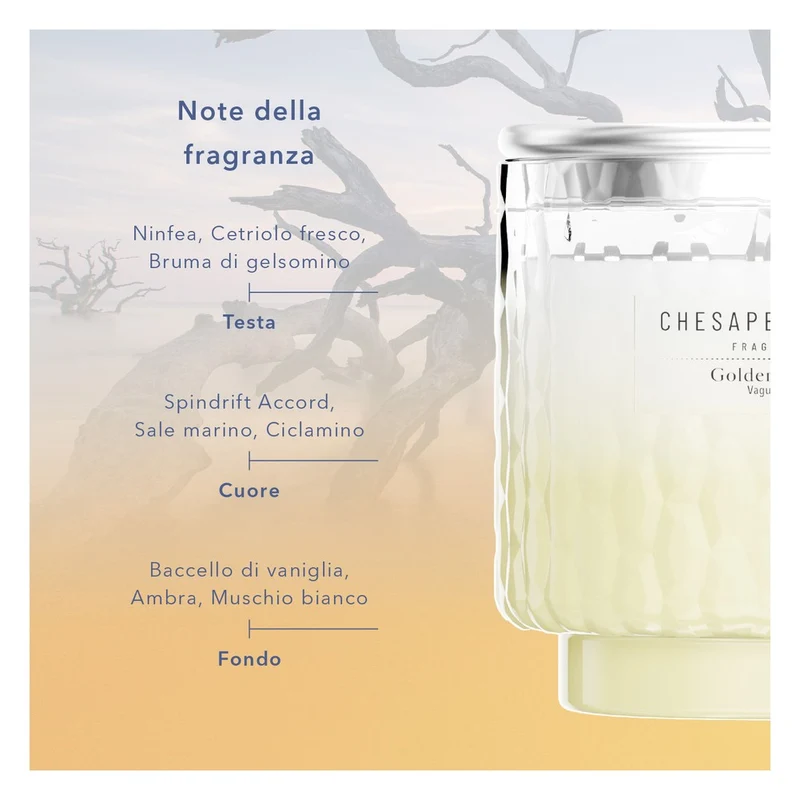 Candela a 3 Stoppini Chesapeake Bay Candle Golden Waves