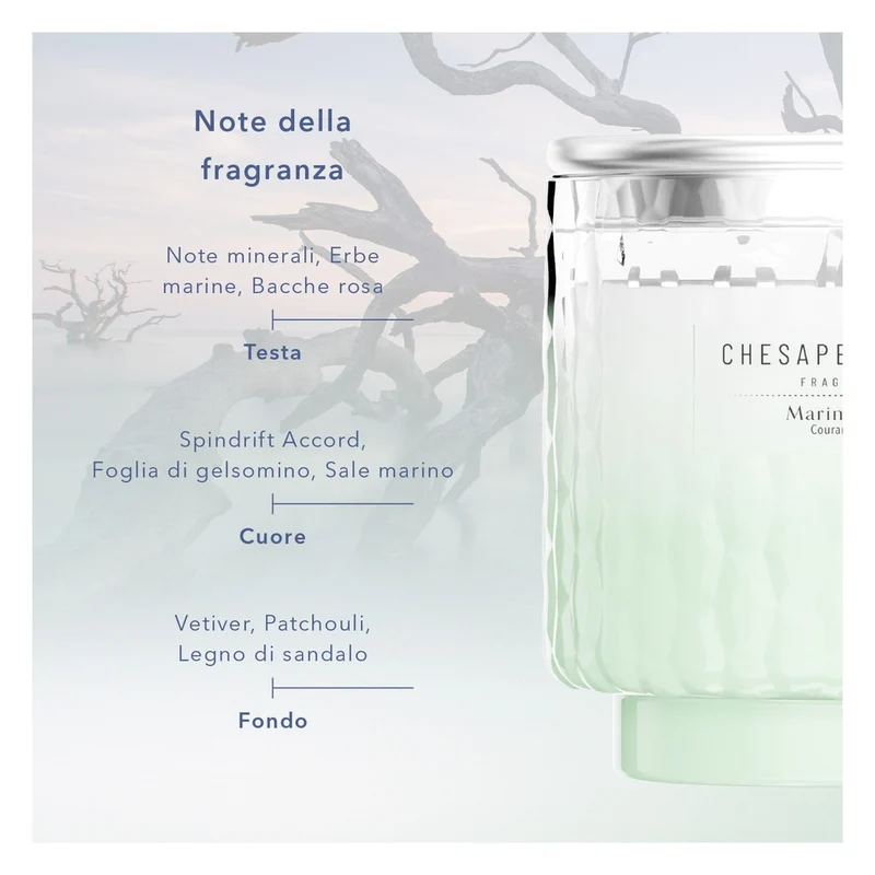 Candela a 3 Stoppini Chesapeake Bay Candle Marine Drift
