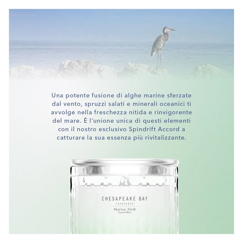 Candela a 3 Stoppini Chesapeake Bay Candle Marine Drift