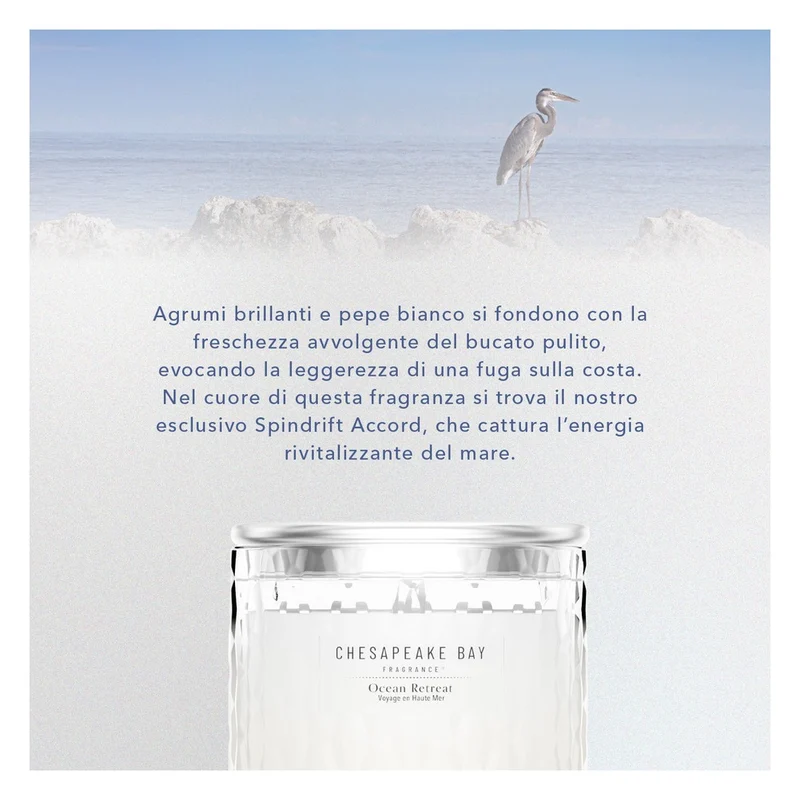 Candela media Chesapeake Bay Candle Ocean Retreat