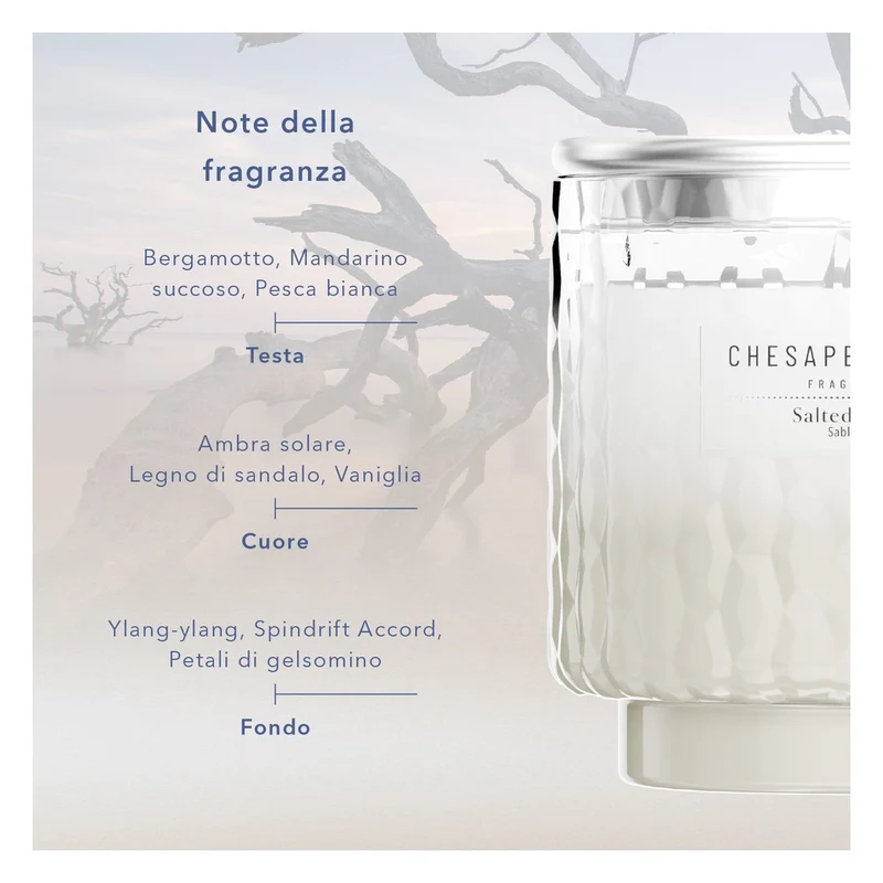Candela media Chesapeake Bay Candle Salted Sands