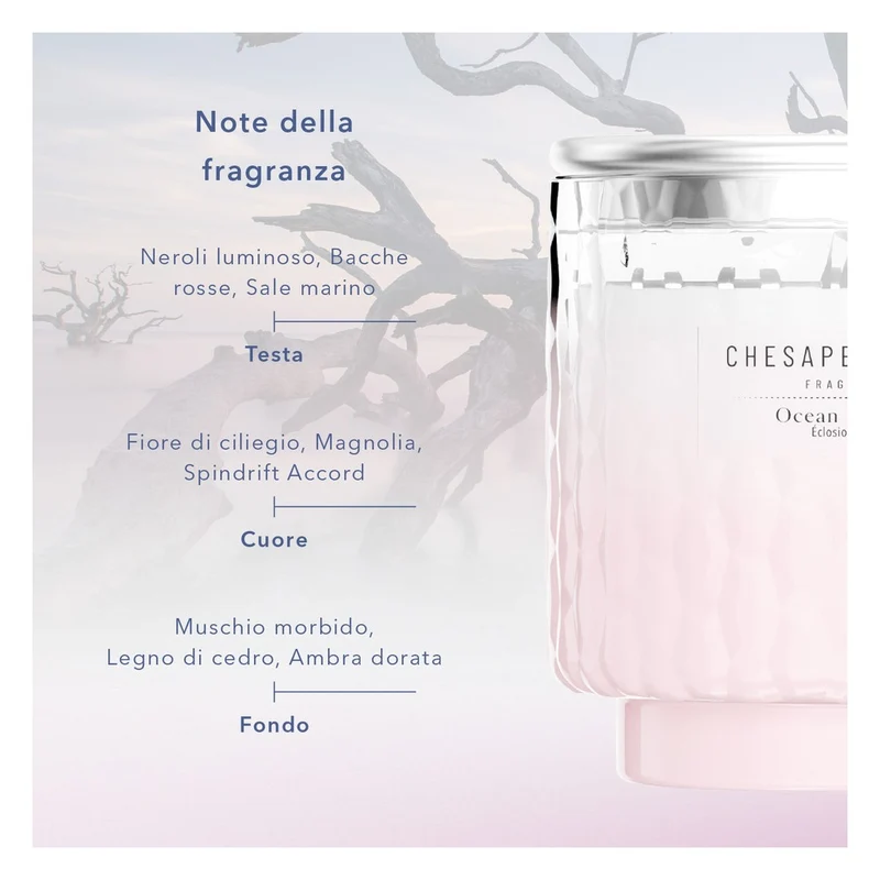 Candela Piccola Chesapeake Bay Candle Ocean Blossom