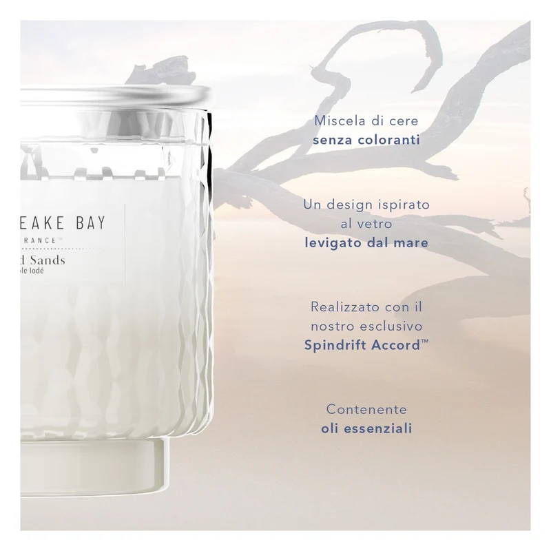 Diffusore a Bastoncini Chesapeake Bay Candle Salted Sands