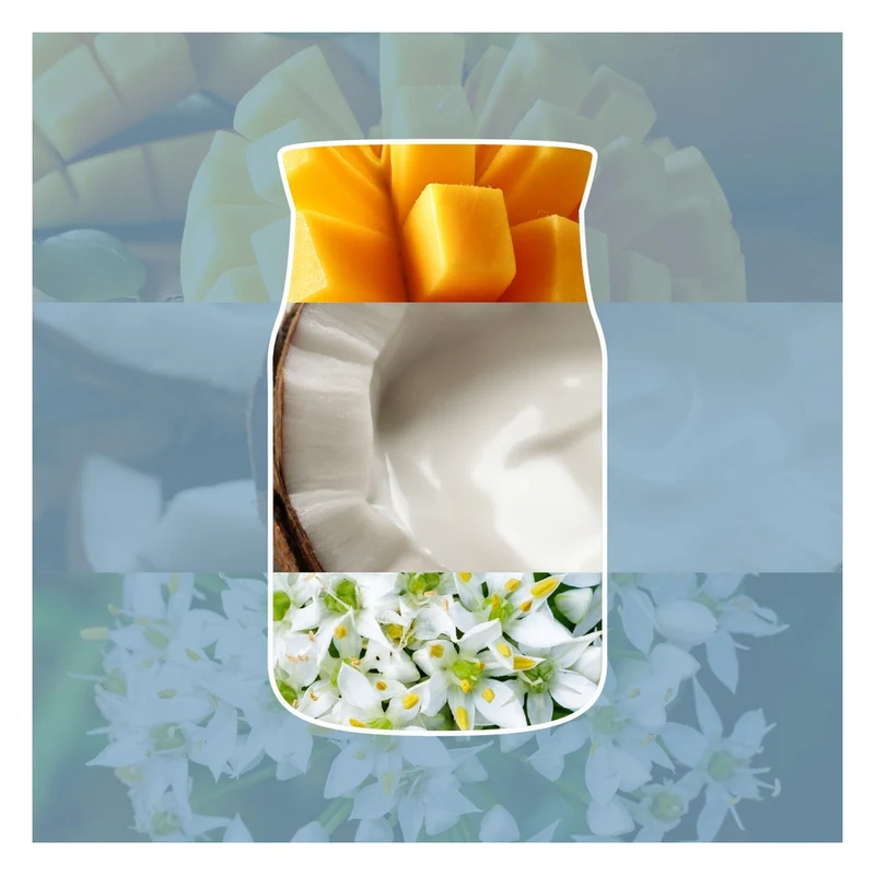 Candela Giara Grande Yankee Candle Signature Salted Coconut