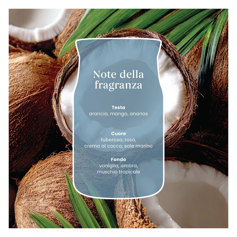 Candela Giara Grande Yankee Candle Signature Salted Coconut
