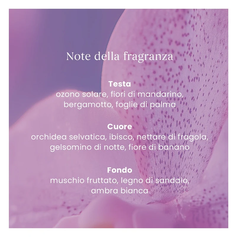 Ricarica ScentPlug Yankee Candle Wild Orchid