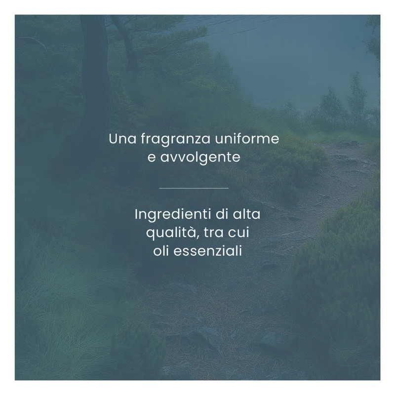 Ricarica ScentPlug Yankee Candle Bayside Cedar