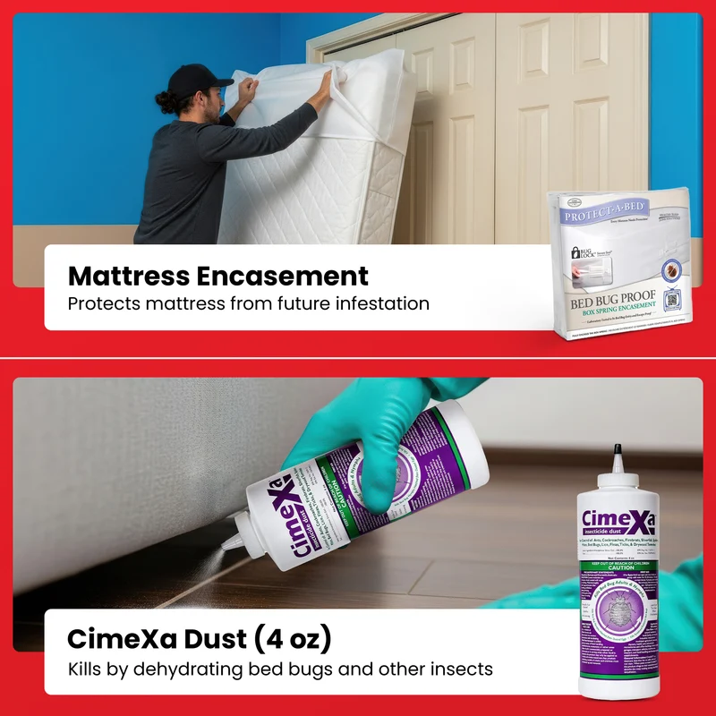 All-In-One Bed Bug Elimination Kit
