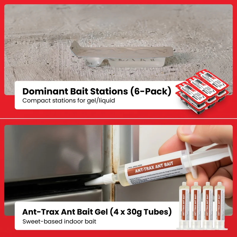 All-In-One Ant Control Kit