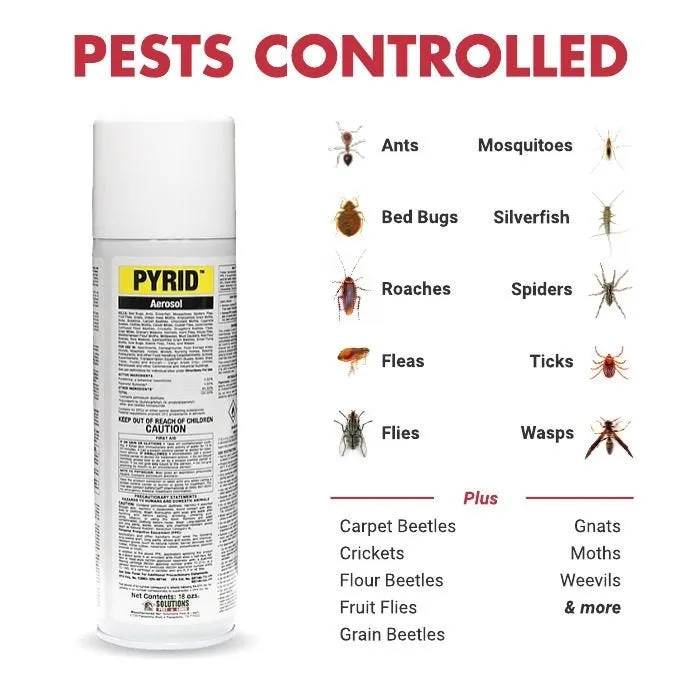 Pyrid Insecticide Aerosol - 18 oz.