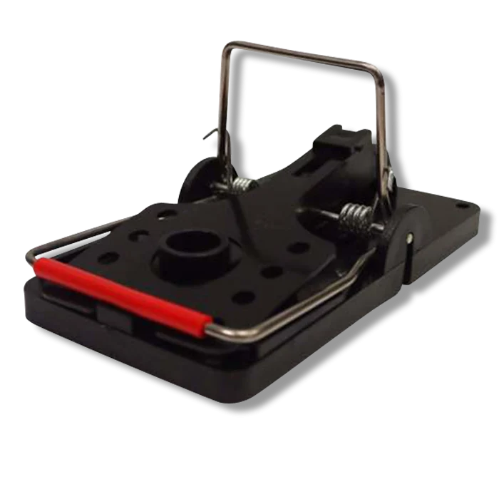 Solutions Easy Set Rat Trap