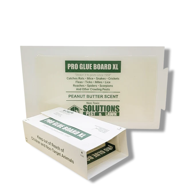 Solutions Pro Rat Glue Board XL - Peanut Butter Scent