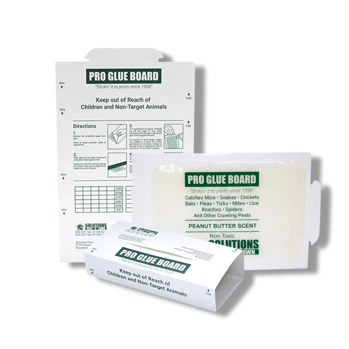 Solutions Pro Glue Board - Peanut Butter Scent