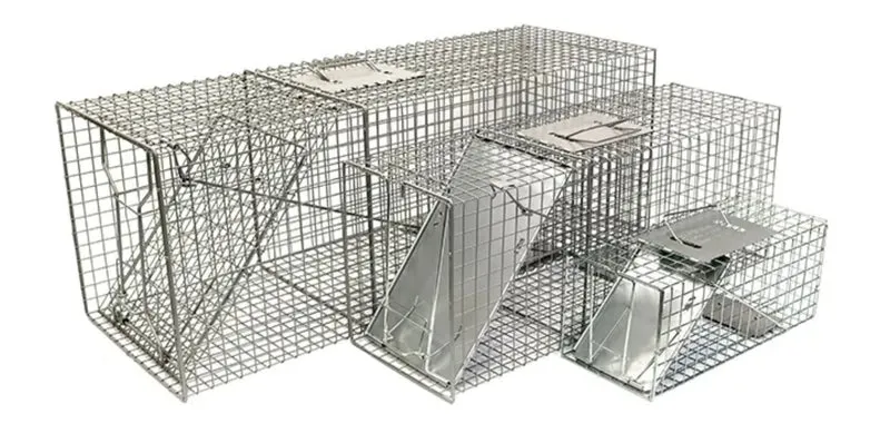 Solutions Humane Live Animal Trap