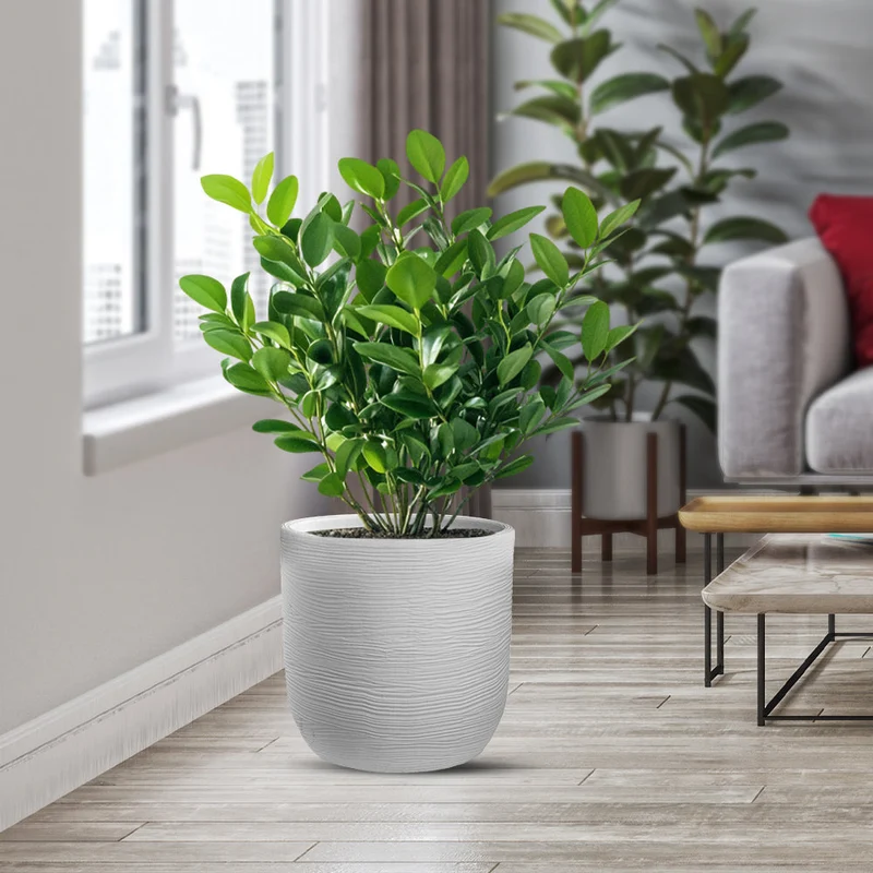 Vaso da Esterno Interno Design Cilindrico Ø35x34 cm Raffaello in Resina Bianco