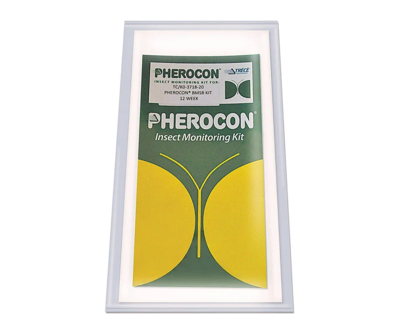 Trappola e feromone per cimice asiatica - Kit 1 feromone e 2 trappole