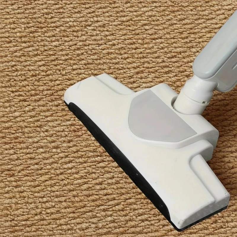 Absorbent Non-Slip Indoor Floor Mat