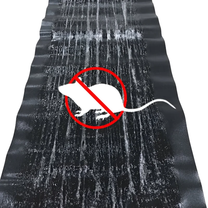 Sticky Pest Traps 10 Pieces for Indoor and Outdoor Use