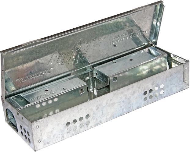 Little Pete Slim Multiple Catch Mouse Trap - Clear with Solid Lid