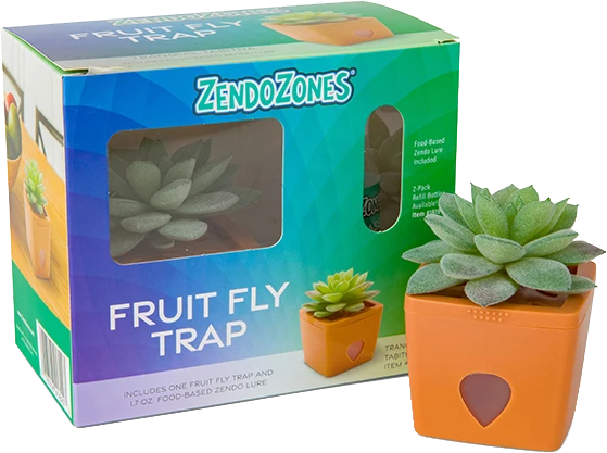 ZendoZones Fruit Fly Trap