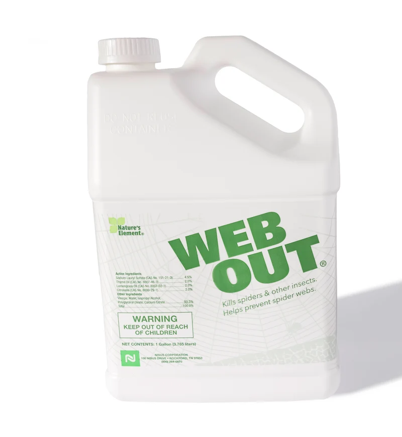 Web Out Cobweb Eliminator