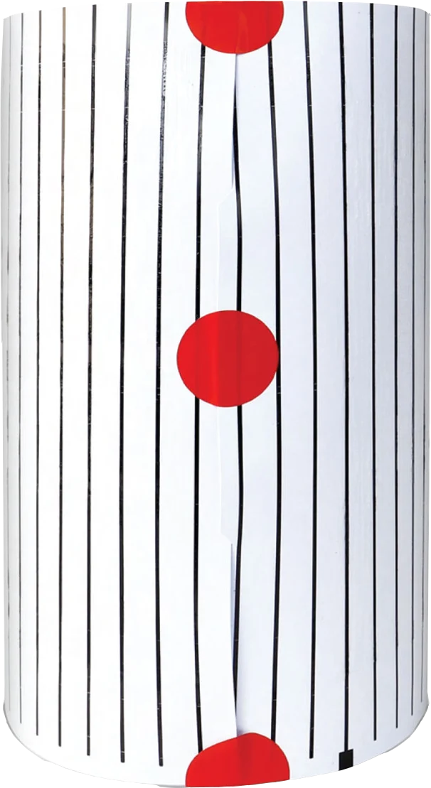 Hanging Fly Trap