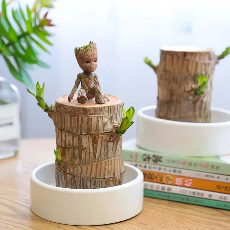 Plante Purificatrice