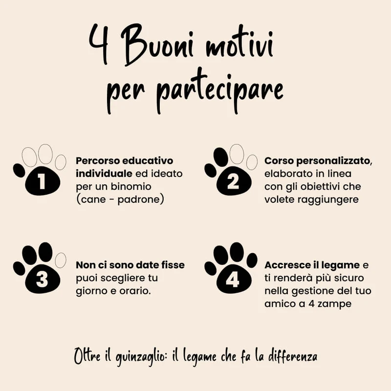 Corso GooDog Academy Standard