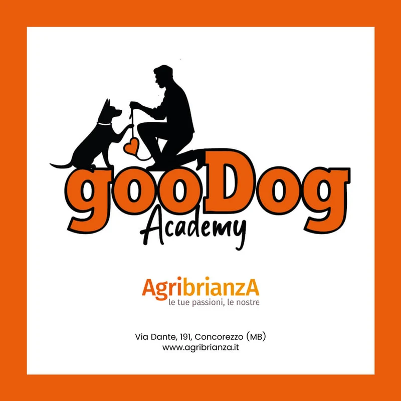 Corso GooDog Academy Standard