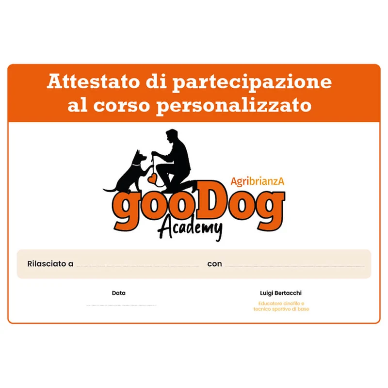 Corso GooDog Academy Standard