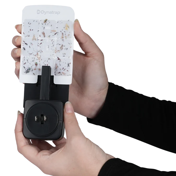 Replacement Glue Card for Dynatrap Indoor ILT