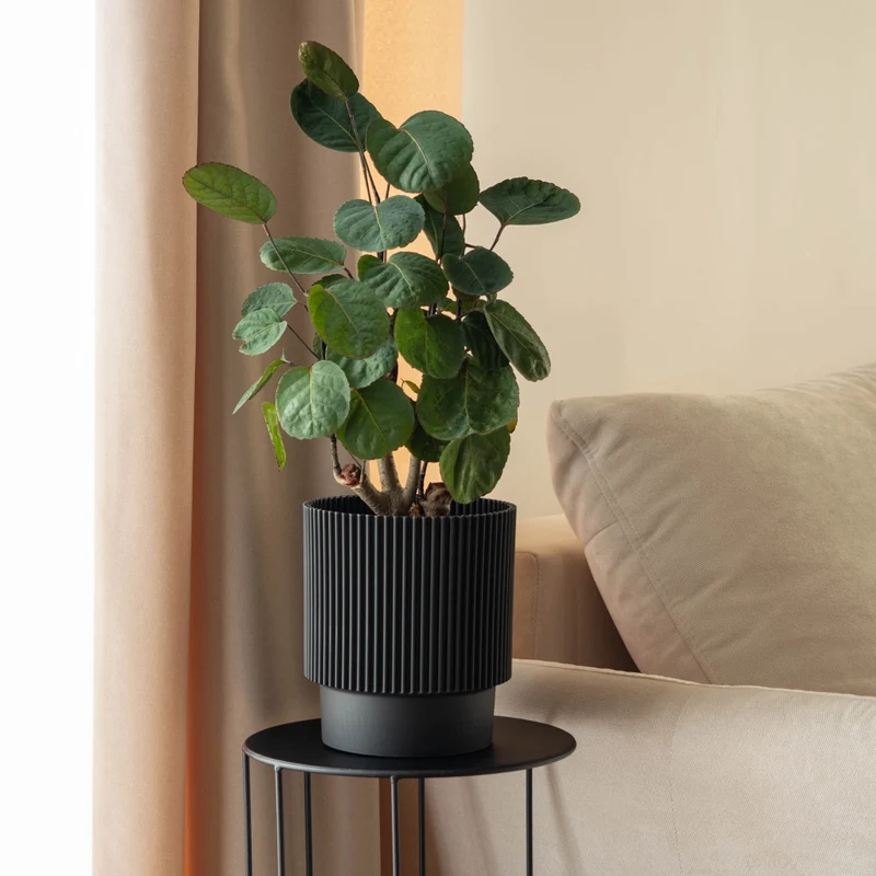 Vaso da fiori KADAX 17 cm, copertura per piante, vaso da fiori in plastica nera