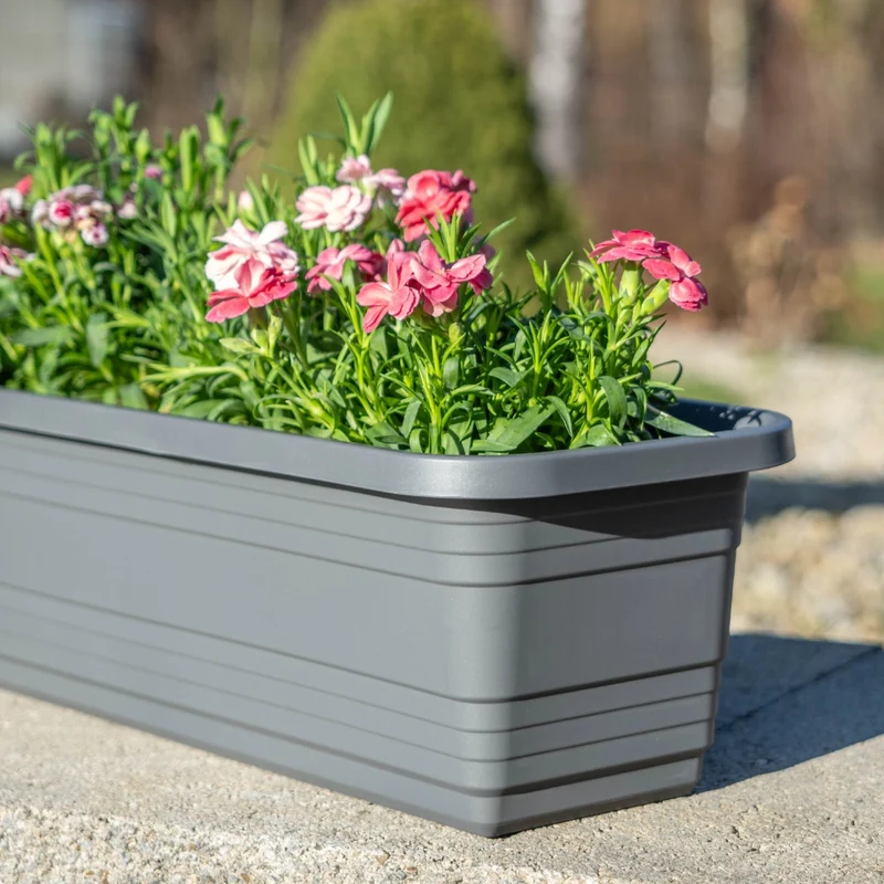 Fioriera da balcone KADAX, vaso da fiori, 80 cm, antracite, fioriera Kadax