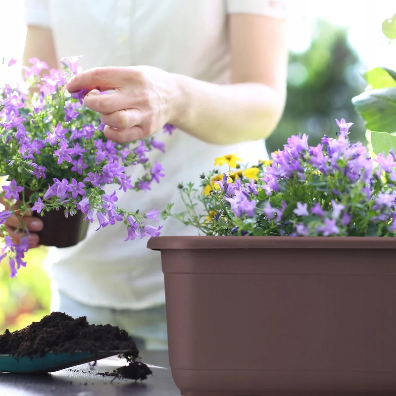 Vaso da fiori rettangolare in plastica KADAX per balcone, 80 cm.