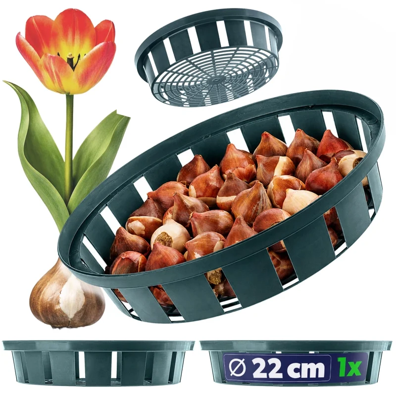 Cestino KADAX per bulbi, bulbi da fiore, tulipani, coperture per piante, 18 cm