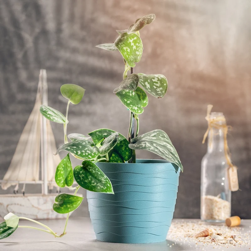 Vaso da fiori KADAX, coprivaso rotondo verde da 11 cm in plastica