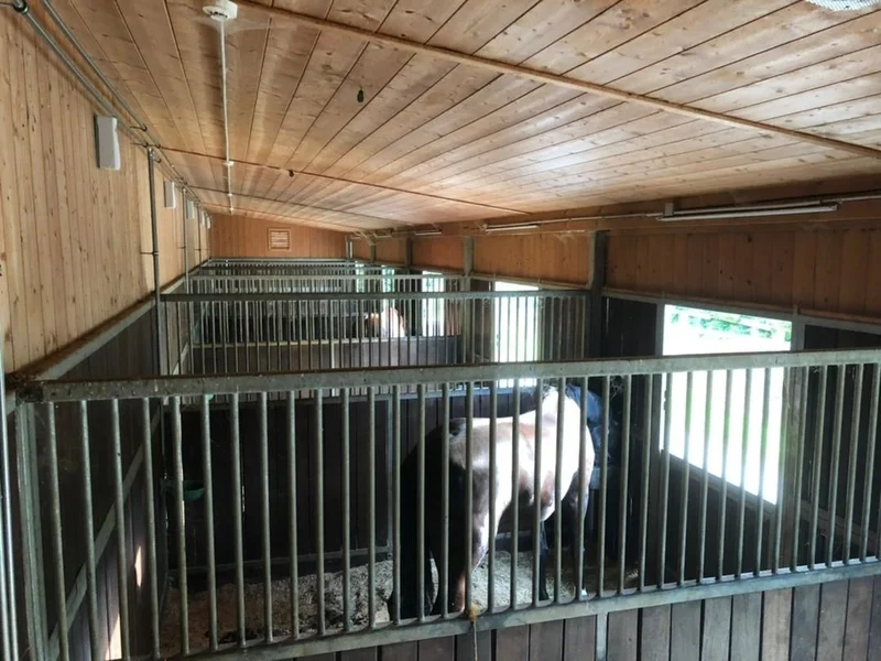 Stable Set: Sprühautomat + 3x EcoStable Spray + Batterien