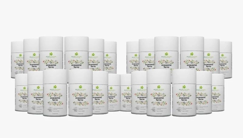 24x 250ml EcoHome Spray