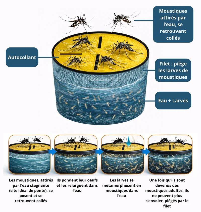 Piège à moustique sans récipient Ciao Mosquito