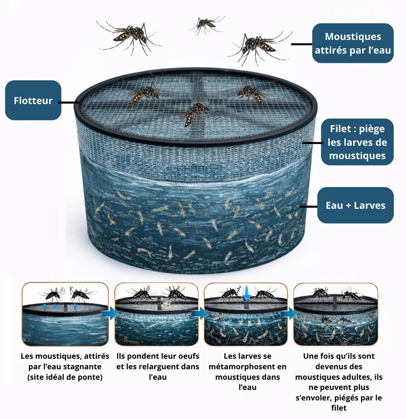 Piège à Larves de Moustiques Anti-Moustique Naturel Ciao Mosquito®