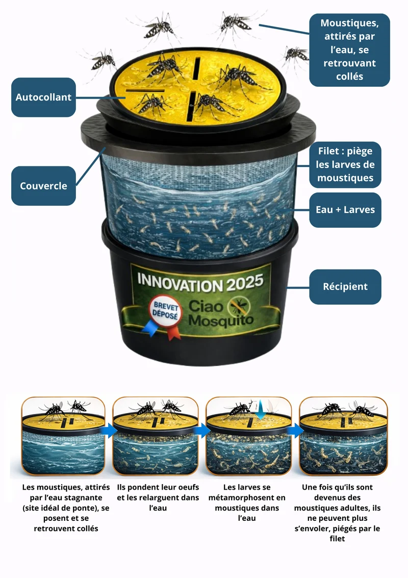 Piège Moustique avec Récipient Haute Efficacité NOUVEAU 2025 – Ciao Mosquito®