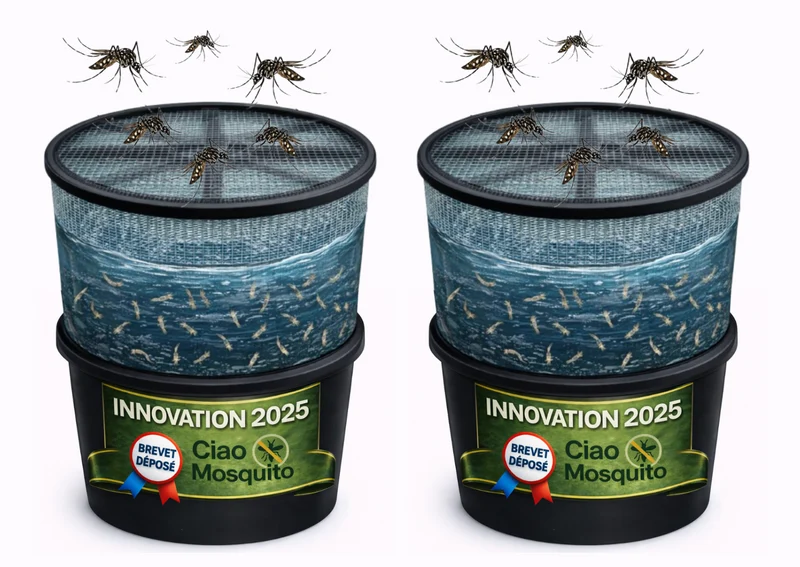 Piège larves moustique tigre breveté Ciao Mosquito®
