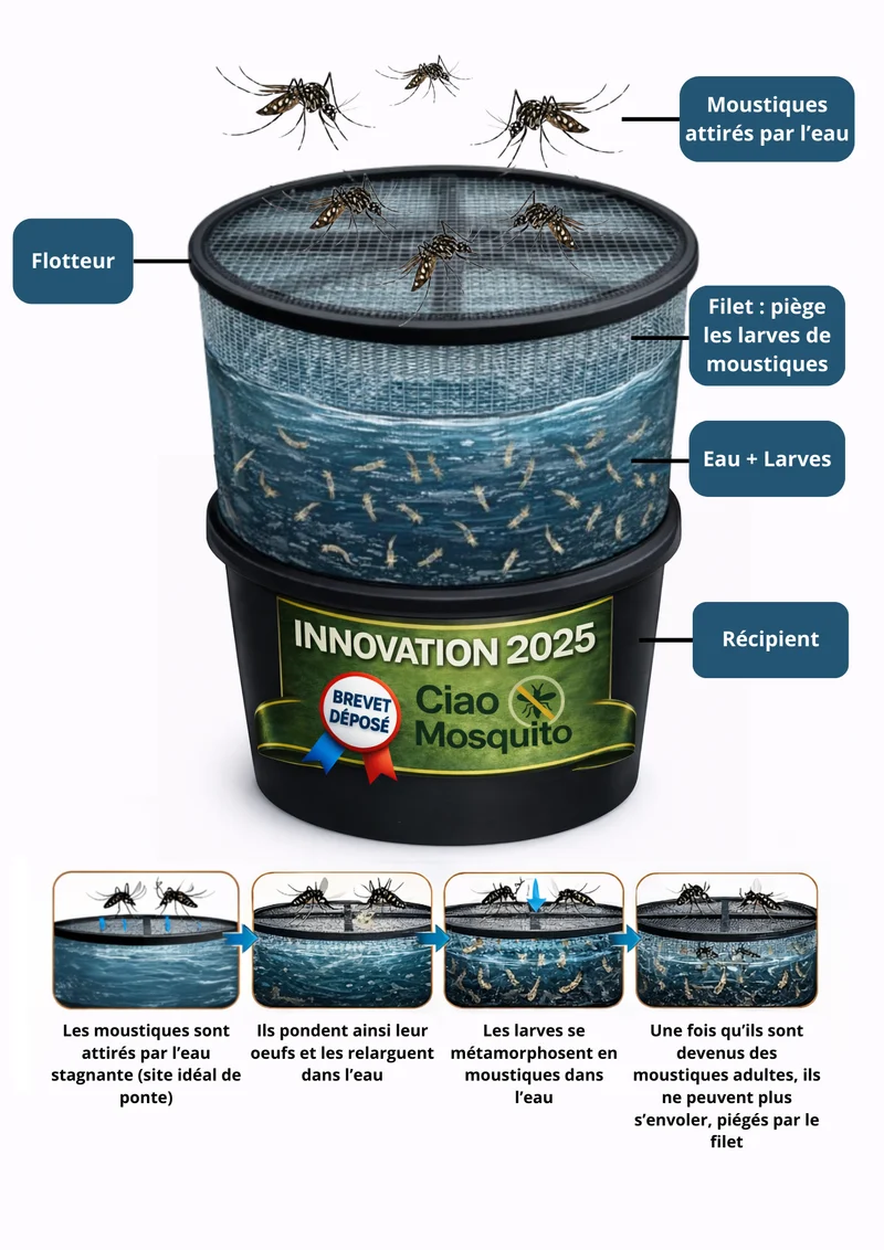 Piège larves moustique tigre breveté Ciao Mosquito®