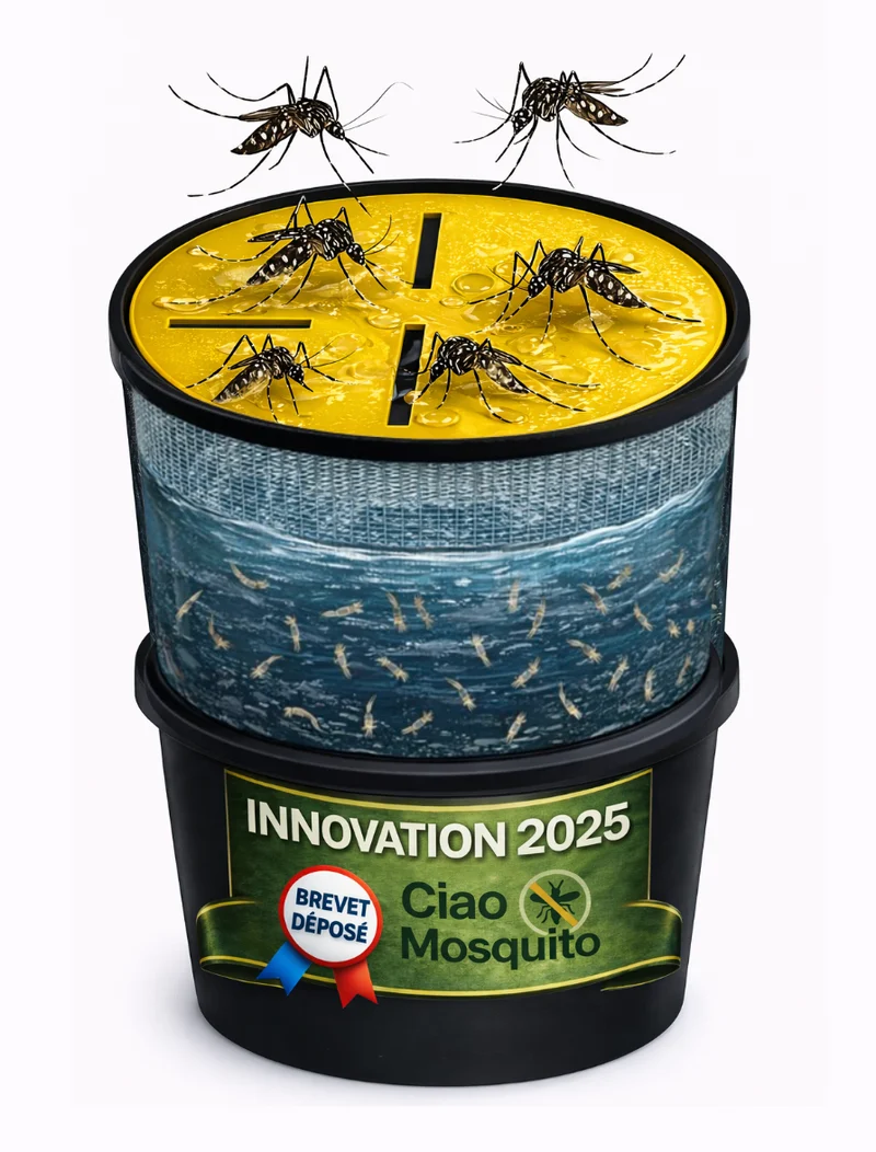 Piège moustique tigre écologique & larves Pack complet Ciao Mosquito®